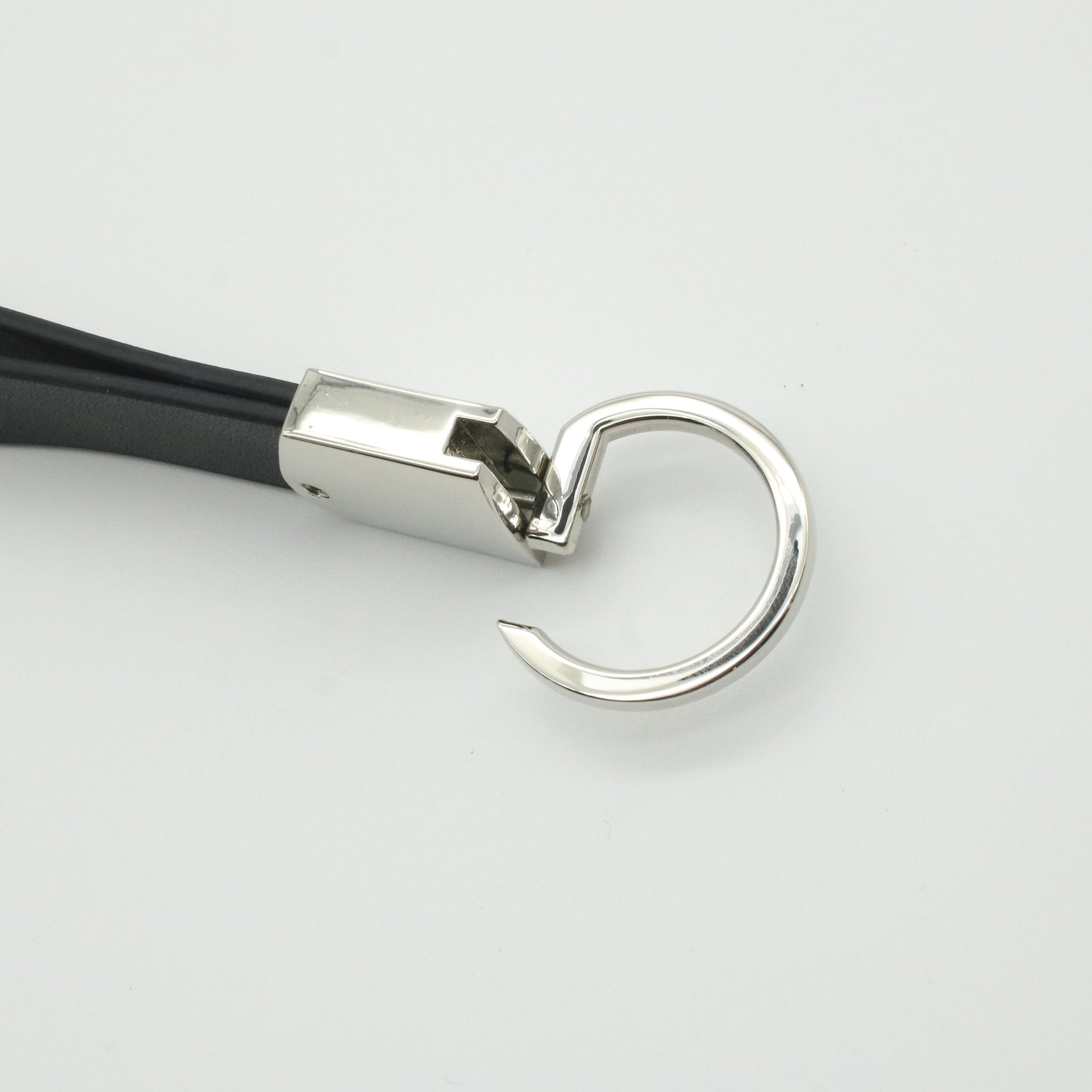 carabiner keyring